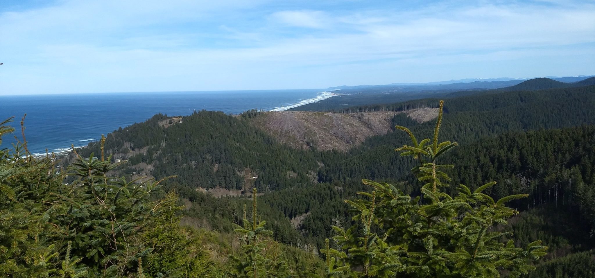 Yachats Hills